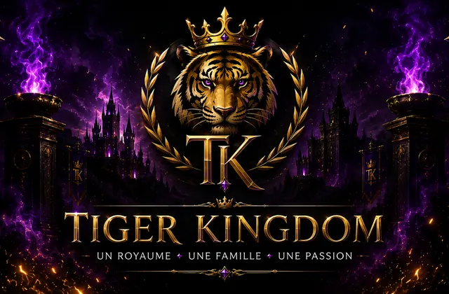 Bannière Twitch officielle