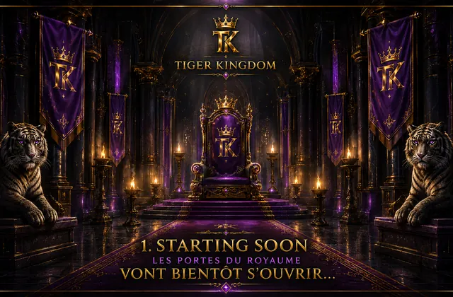 Écran « Le live commence »